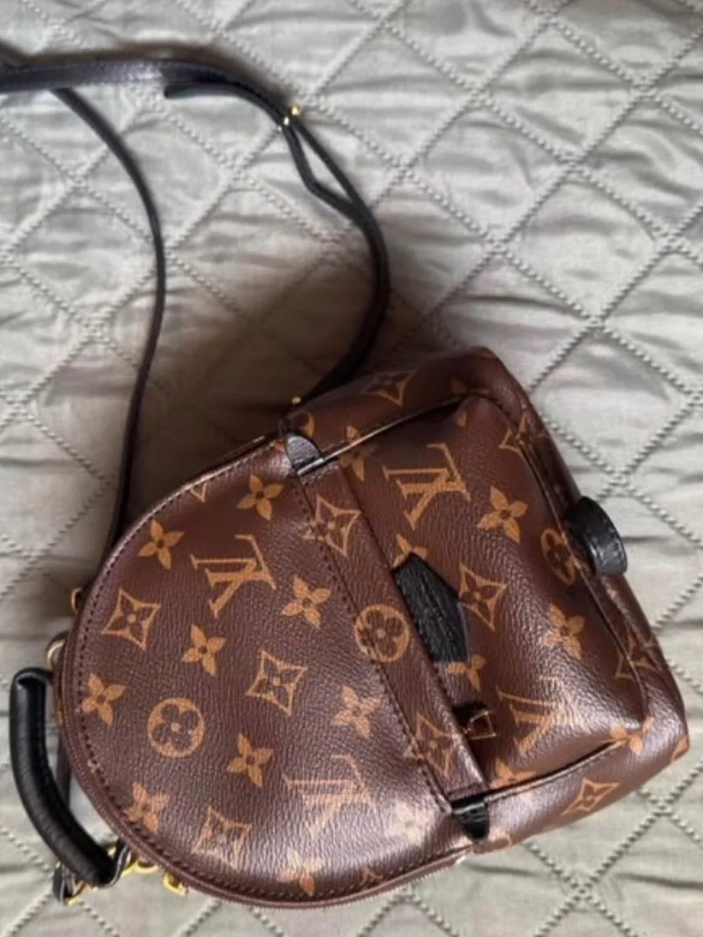 Louis Vuitton palm spring mini backpack